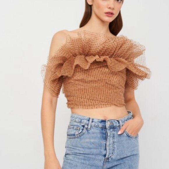 Zara tulle top NWT - Picture 2 of 8